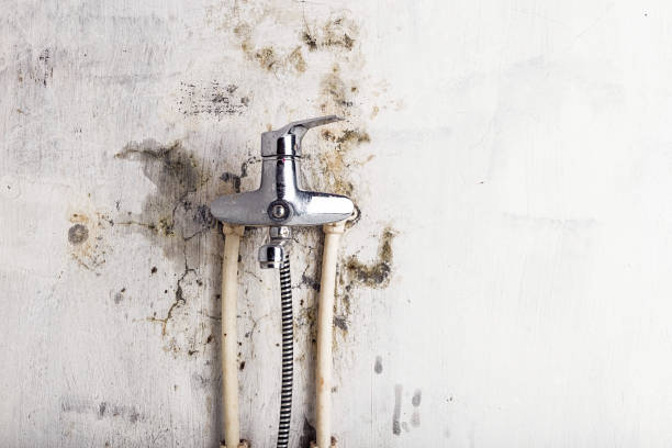 Best Residential Mold Remediation in Oroville East, CA