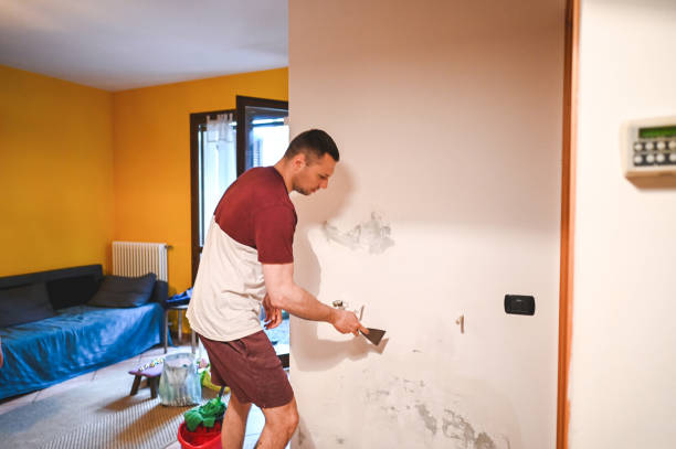 Best Basement Mold Remediation in Oroville East, CA